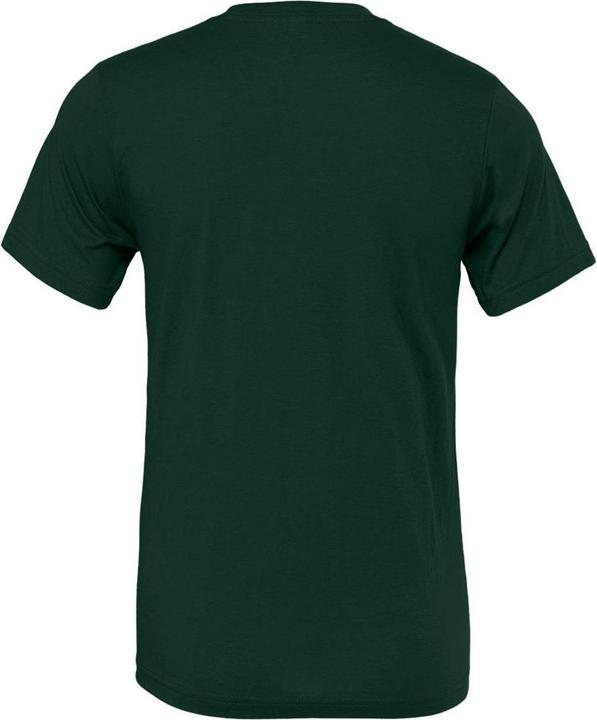 Actual product image Bella Canvas Jersey Tee (L)
