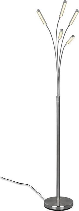 Actual product image Trio LED floor lamp REED 5xR410315073.5W 5x 350lm 3000K D.30xH (1750 lm)