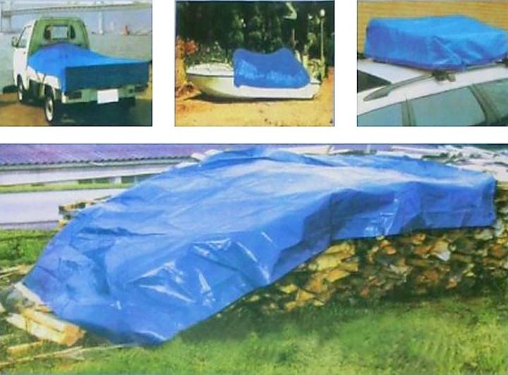Actual product image Benson Tarpaulin 4 x 6 m blue (4 x 6 m)