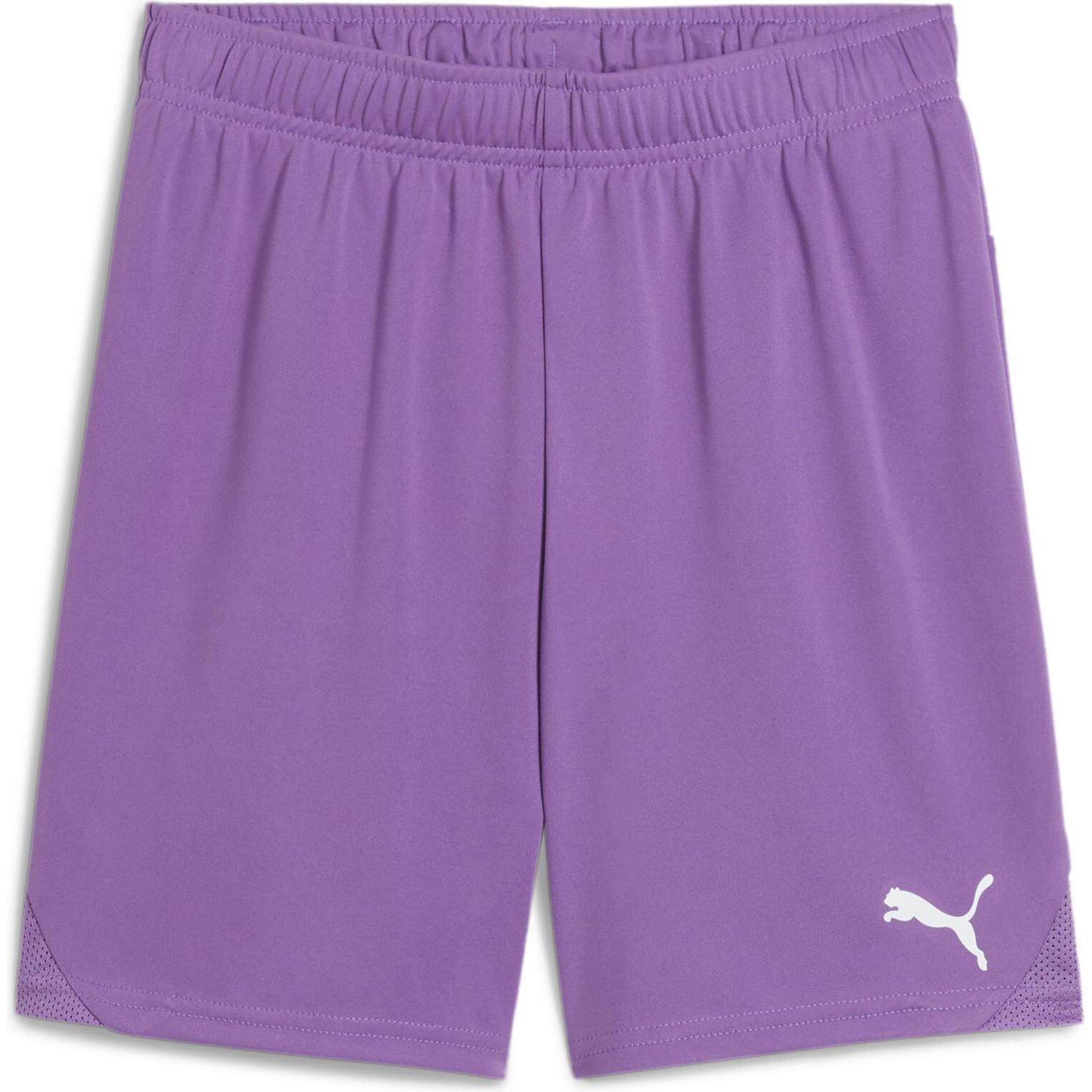 Puma, Jungen, Sporthose, teamGOAL Shorts Jr (140), Violett, 140
