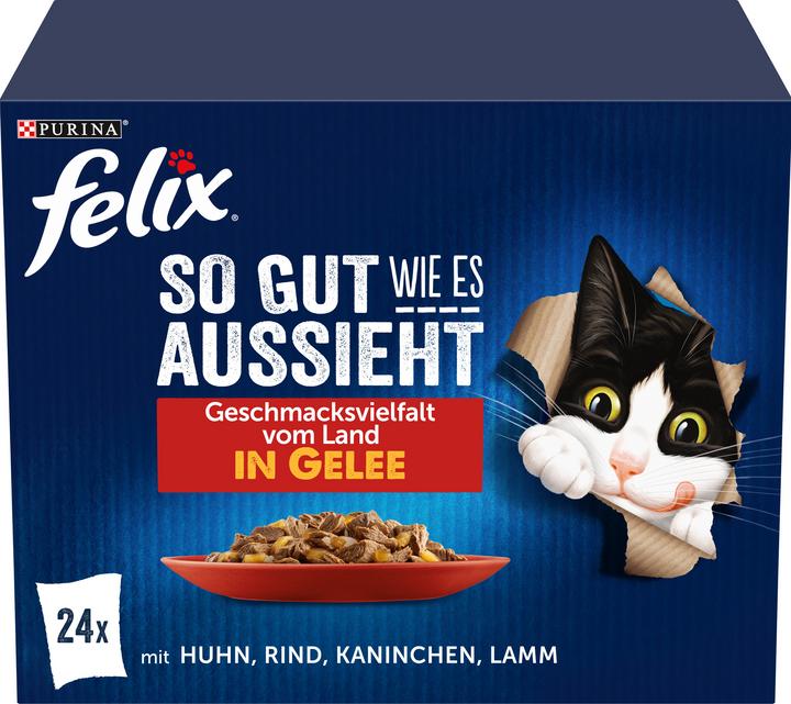 Felix Agail Fleisch (Adult, 24 Stk., 2040 g)