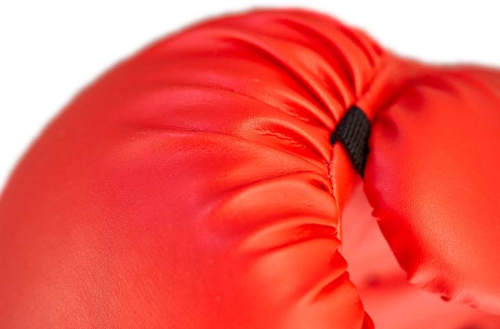 Produktbild Ju-Sports Boxhandschuhe Training rot