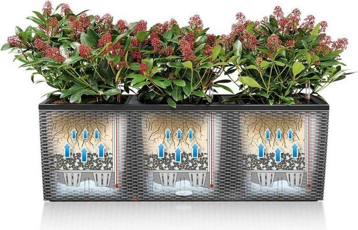 Actual product image Lechuza Trio Cottage (32 cm)