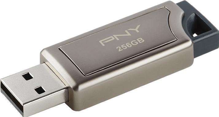 Actual product image PNY Pro Elite (256 GB, USB-A)