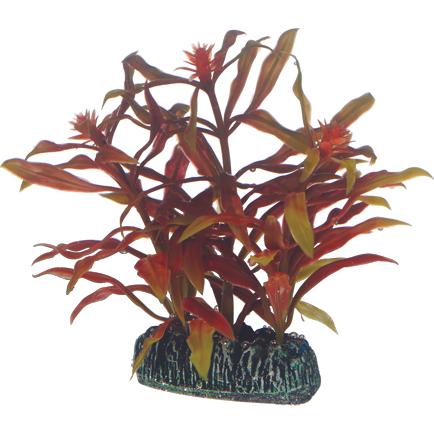 Dohse Nesaea, 7 cm (Dekoration, sonstige Gegenstände), Aquarium Dekoration