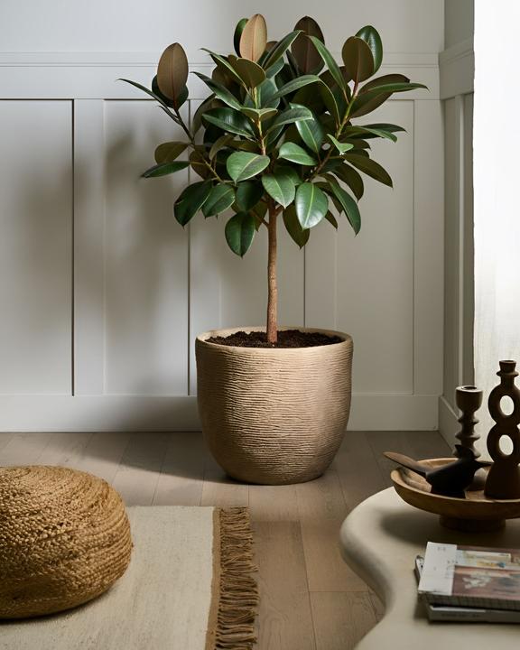 Produktbild Beliani Lixouri