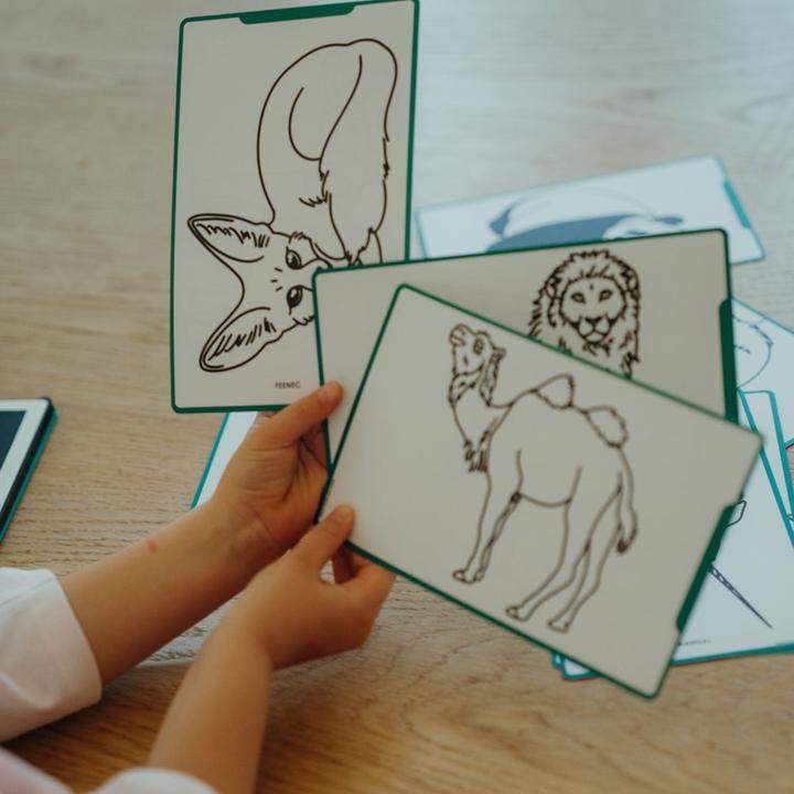 Actual product image Kidywolf Nachfüllpack Wilde Tiere und Piraten zu Designtafel