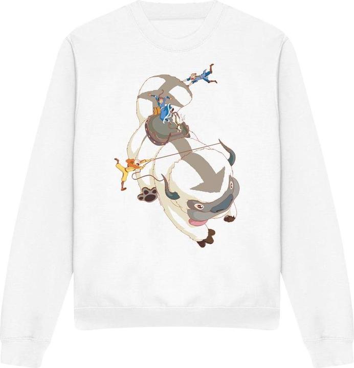 Immagine prodotto Avatar: The Last Airbender Hang On Felpa Appa Adulto Unisex (M)
