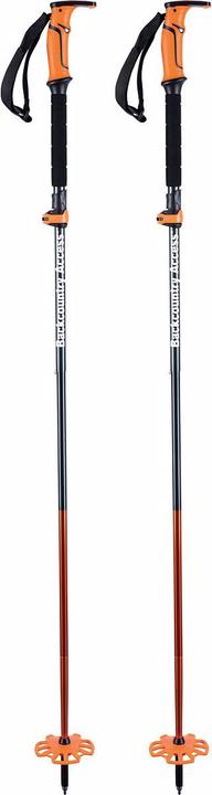 Immagine prodotto BCA Palo Scepter 4S Touring (130 cm)