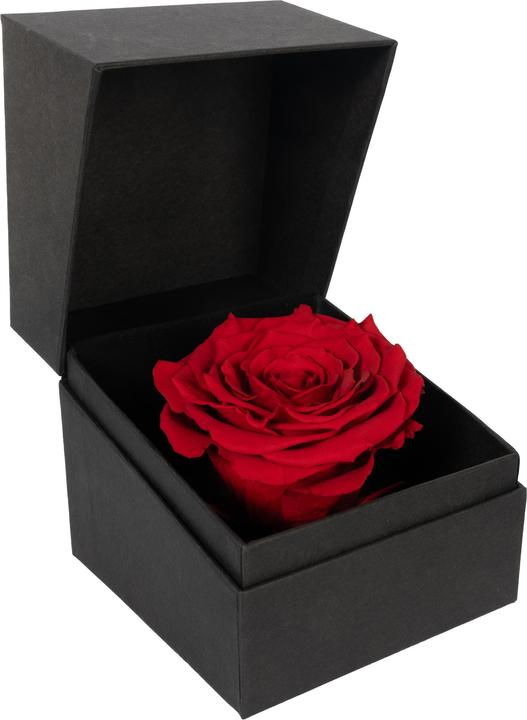 Migros Ostschweiz Rose in Geschenksbox (Infinity Blumen)
