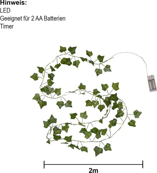 Produktbild Star Trading Lichterkette Ivy (2 m)