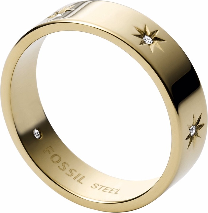Actual product image Fossil Sutton (60)
