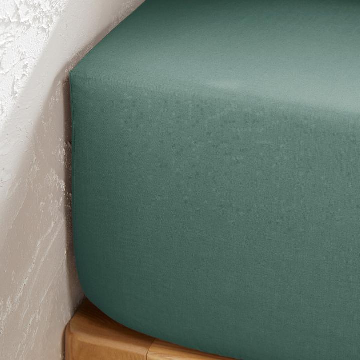 Immagine prodotto La Redoute Interieurs Scenario Coton (Copripiumino, 120 x 190 cm)