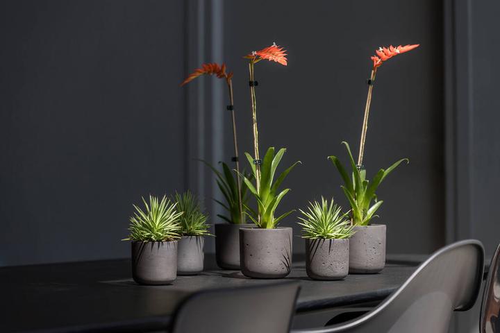 Actual product image Pottery Pots Charlie M