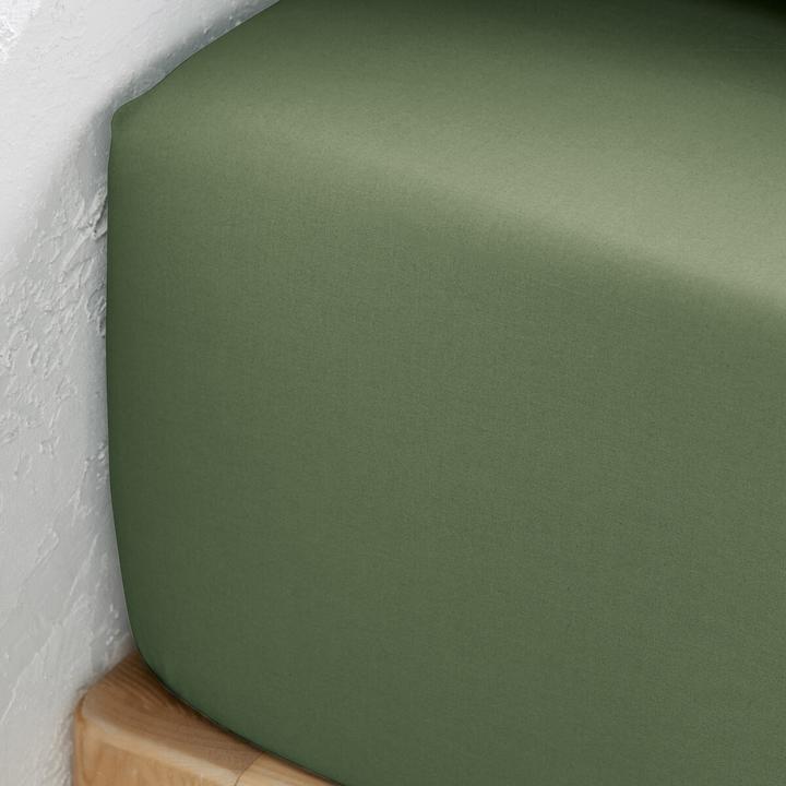 Produktbild La Redoute Interieurs Fixleintuch Scenario aus Baumwollperkal (90 x 190 cm)