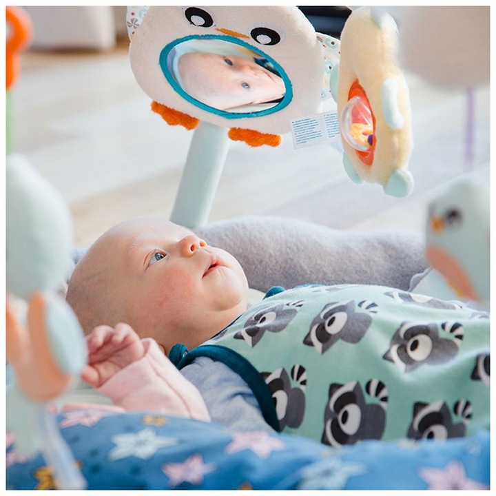 Actual product image Playgro Penguin