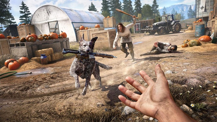 Actual product image Ubisoft Far Cry 5 (Xbox One X, Xbox Series X, Multilingual)