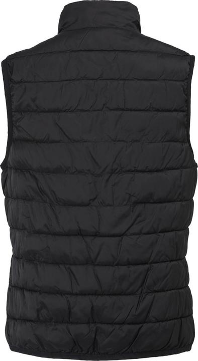 Actual product image Regatta Womens/Ladies Hillpack II Gilet (38 D)