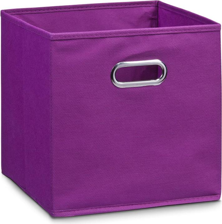 Zeller Present Storage box (28 x 28 x 28 cm, 22 l)