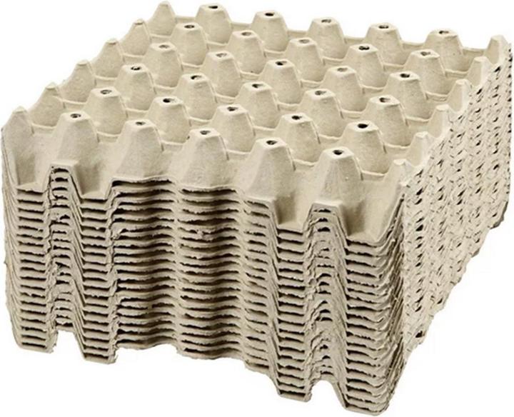 Creativ Company Egg tray