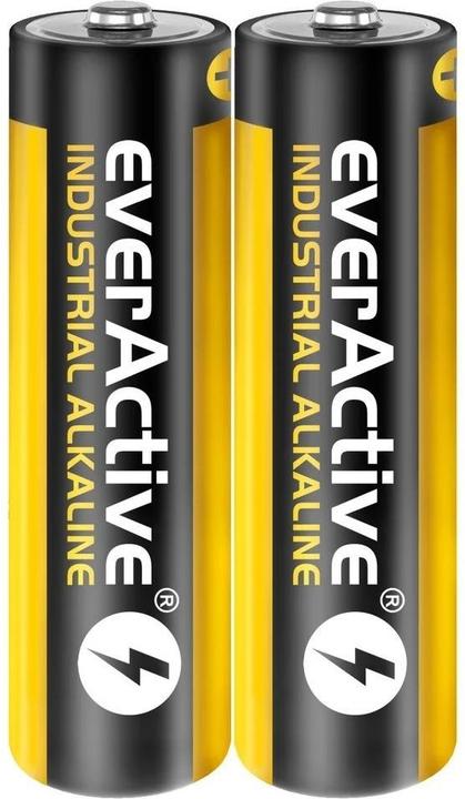 Actual product image Everactive Industrial LR6/AA Alkaline Batterien 2 Stück (2 pcs., AA, 2700 mAh)