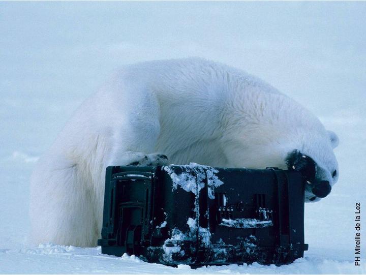 Productafbeelding Explorer Cases Speciale koffer 48x37x21 cm Mod. 4820 (35.50 l)