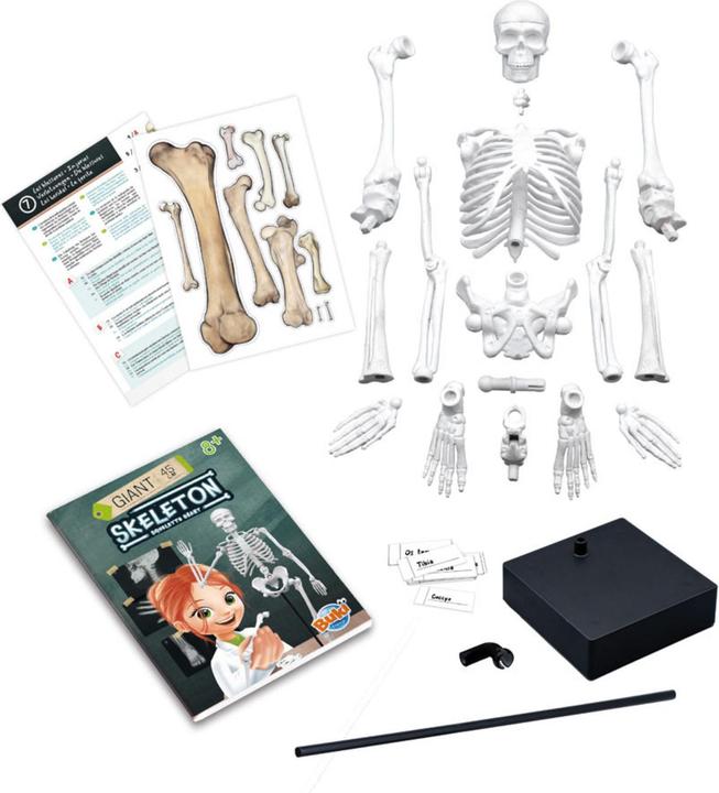 Actual product image Buki France 2180 Skeleton 45 cm For 8+ Years