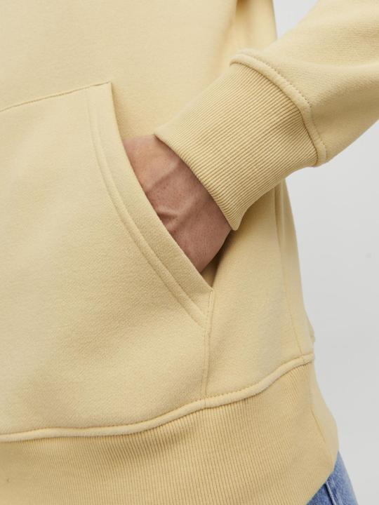 Produktbild Jack & Jones Logo Hoodie (M)