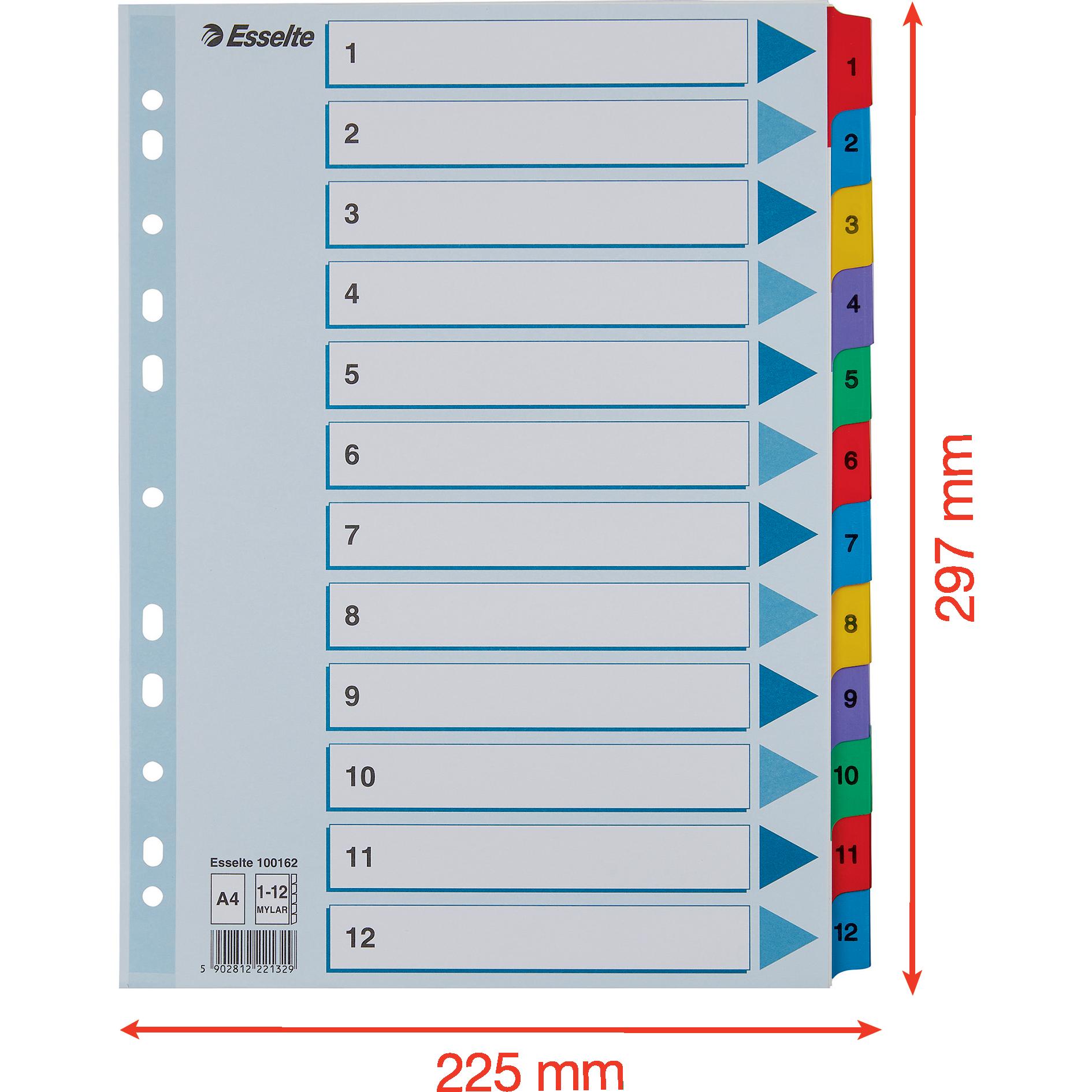 Esselte Mylar (100162)