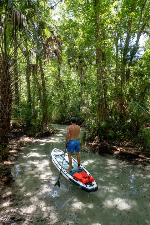 Immagine prodotto Boost Surfing Alettone