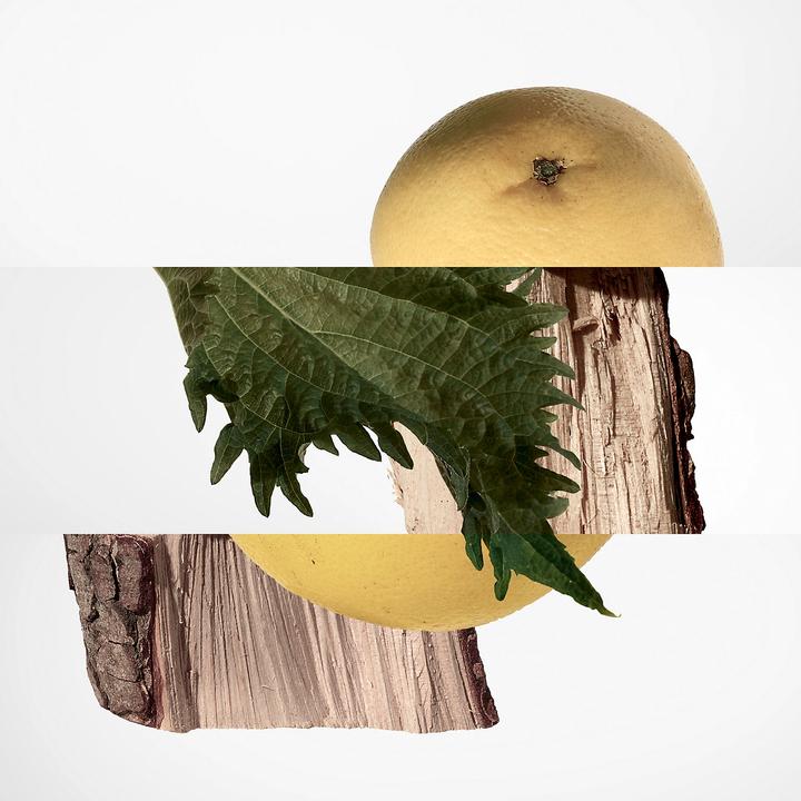 Immagine prodotto Hermès Terre d' (Eau de parfum, 200 ml)