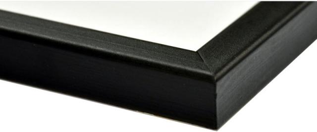 Immagine prodotto Nielsen Zoom