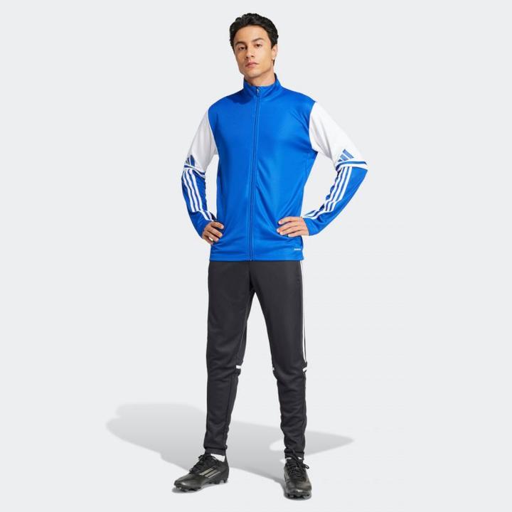 Actual product image Adidas Squadra 25 training jacket (M)