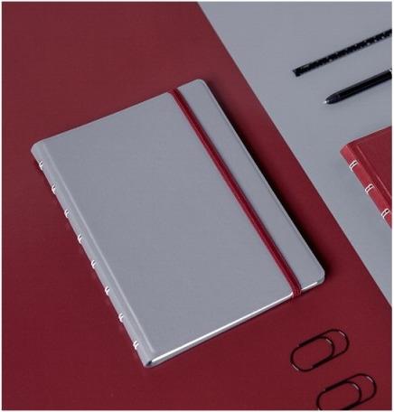 Actual product image Filofax Notebook A5 Classic graphite (A5, Lined, Hardcover)