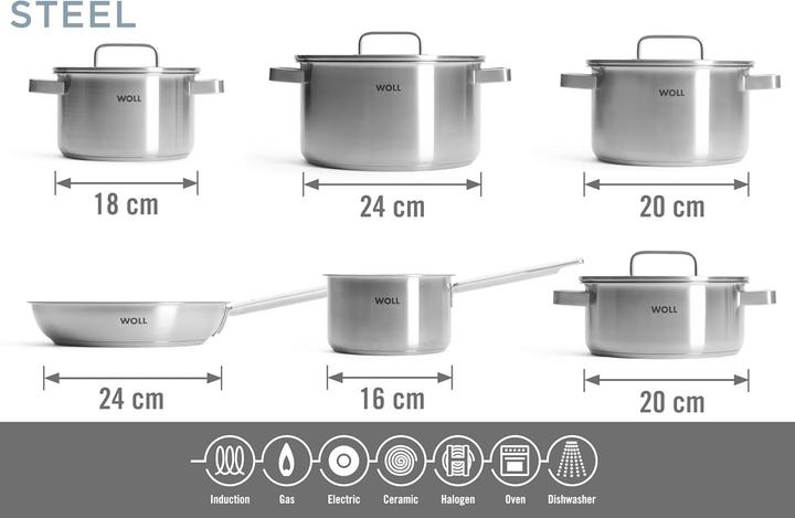 Actual product image Woll 10-Piece Induction-Compatible Dishwasher-Safe Cookware Set (Frying pan, Pot, Stainless steel)