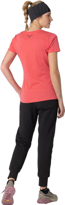 Immagine prodotto Dynafit Graphic Cotton S/S Tee (34)