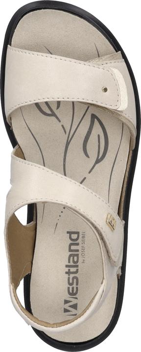 Actual product image Westland 25901-644 (39)