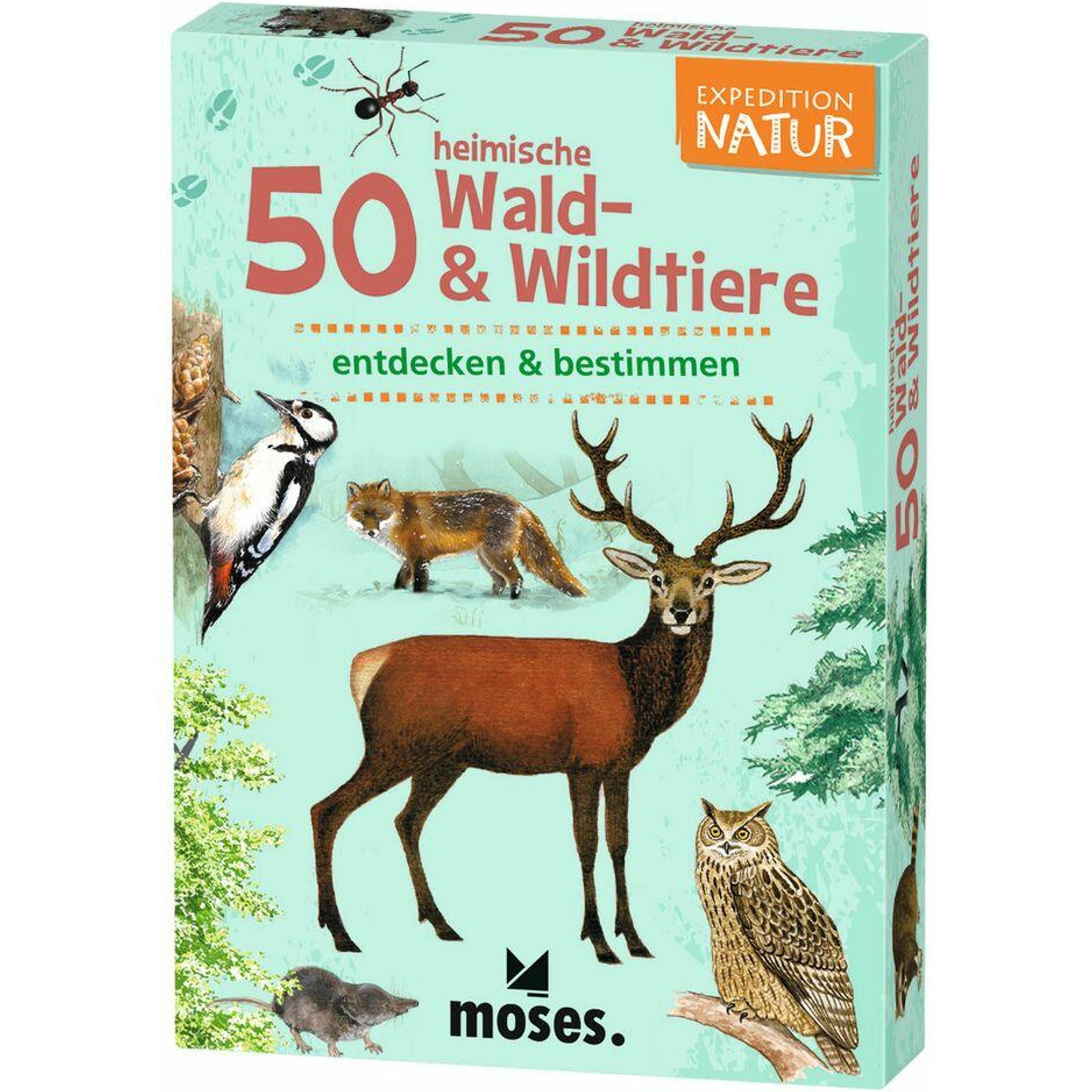 pfister Moses (Deutsch, 1 Spieler) (pfister_7985914)