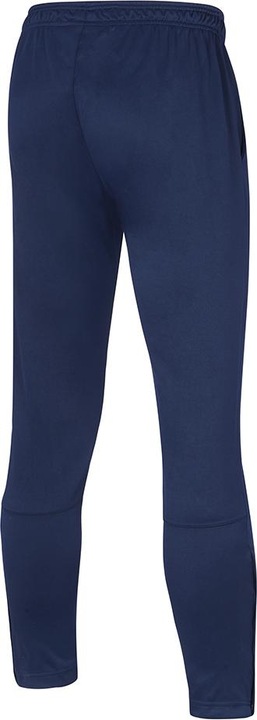 Actual product image Mizuno Nara Training Pant (L)