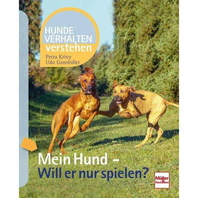 Mein Hund - Will er nur spielen?, Ratgeber von Petra Krivy