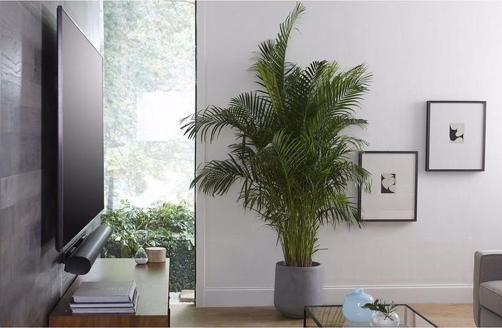 Produktbild Sanus Wandhalterung für Sonos ARC, ausziehbar (1 Stk., Wandmontage)
