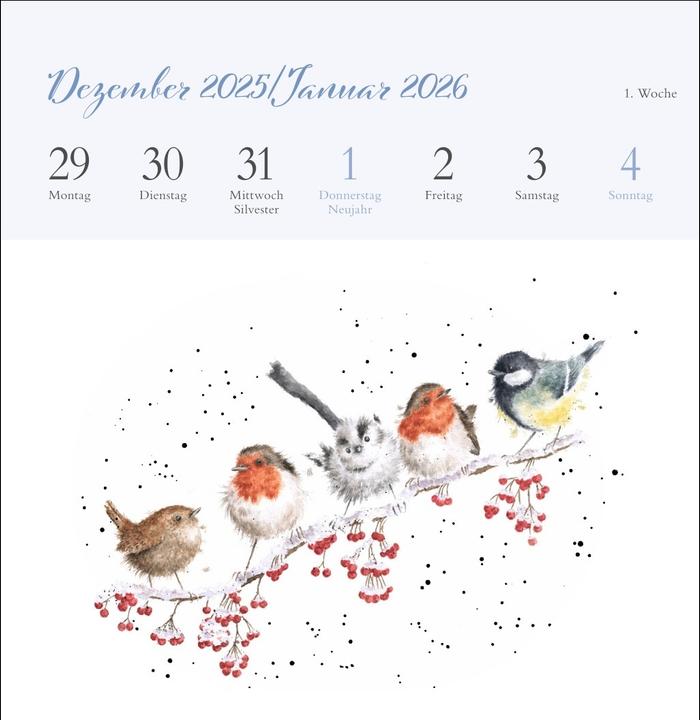 Produktbild Hannah Dale: Happy Animals Premium-Postkartenkalender 2026 (165 x 177 mm, Kein Einband, Deutsch)