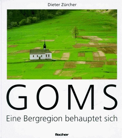 Produktbild Goms - eine Bergregion behauptet sich (Deutsch, Koni Hallenbarter, Dieter Zürcher, 1996)