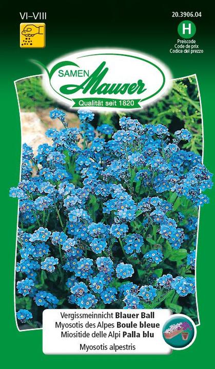 Immagine prodotto Samen Mauser Palla blu Forget-Me-Not (Semi di piante)