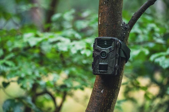 Immagine prodotto Braun Photo Scouting Cam Black575