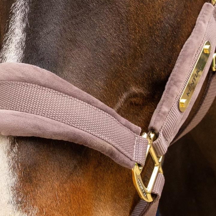 Immagine prodotto Kentucky Horsewear Cavezza in nylon