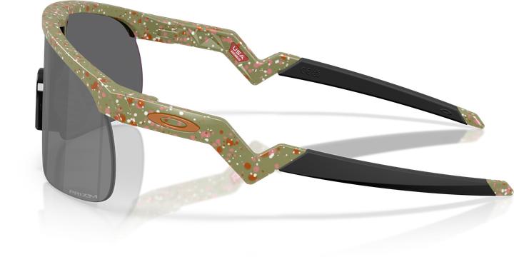 Produktbild Oakley Resistor (FERN TERRAZZO, Prizm Black)