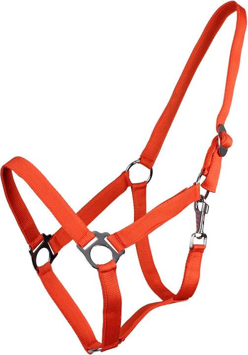 Qhp cavezza di nylon con fibbia scorrevole