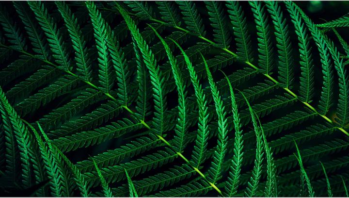 Produktbild Philips 60,5cm (23,8") 24B2G5200 16:09 HDMI+DP+USB darkgrey (1920 x 1080 Pixel, 23.80")