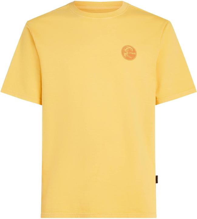 Actual product image O'Neill O'Riginals Vintage Graphic T-Shirt (S)